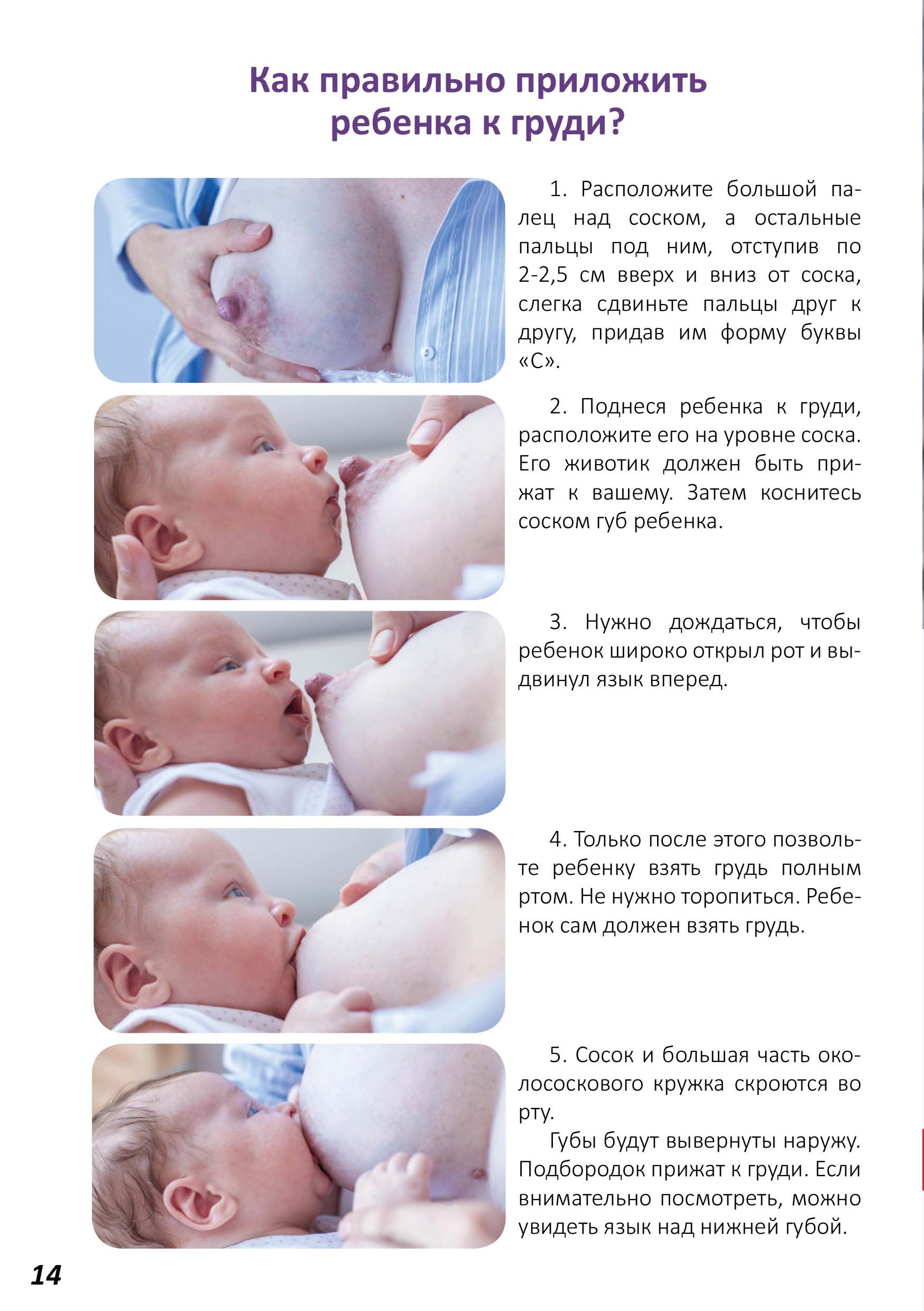 Позы для кормления новорожденных грудным молоком
