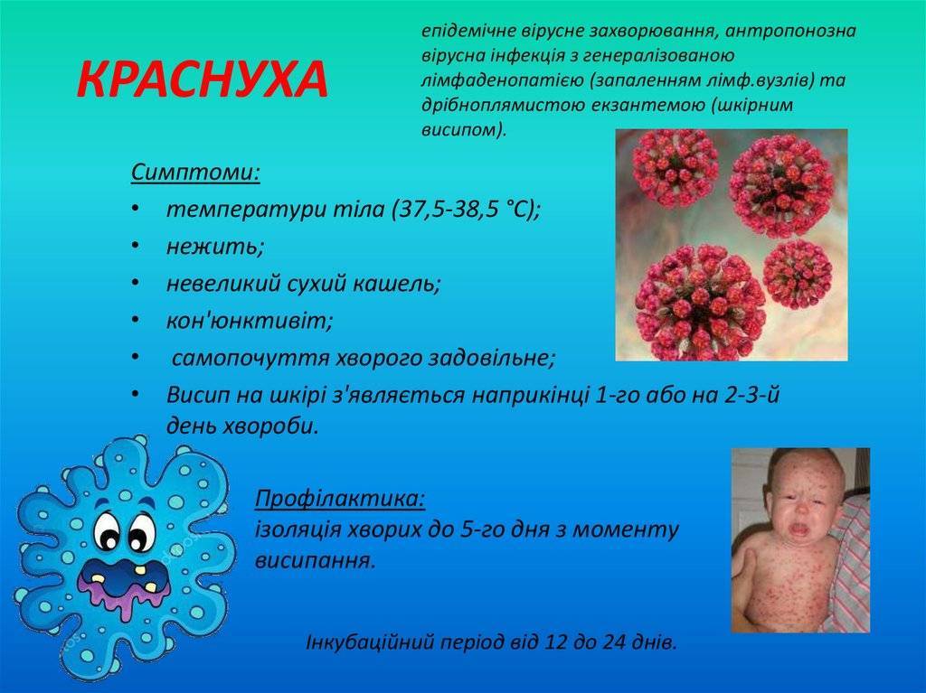 Врач-педиатр о проявлениях, симптомах и особенностях лечения краснухи у детей: что важно знать родителю?