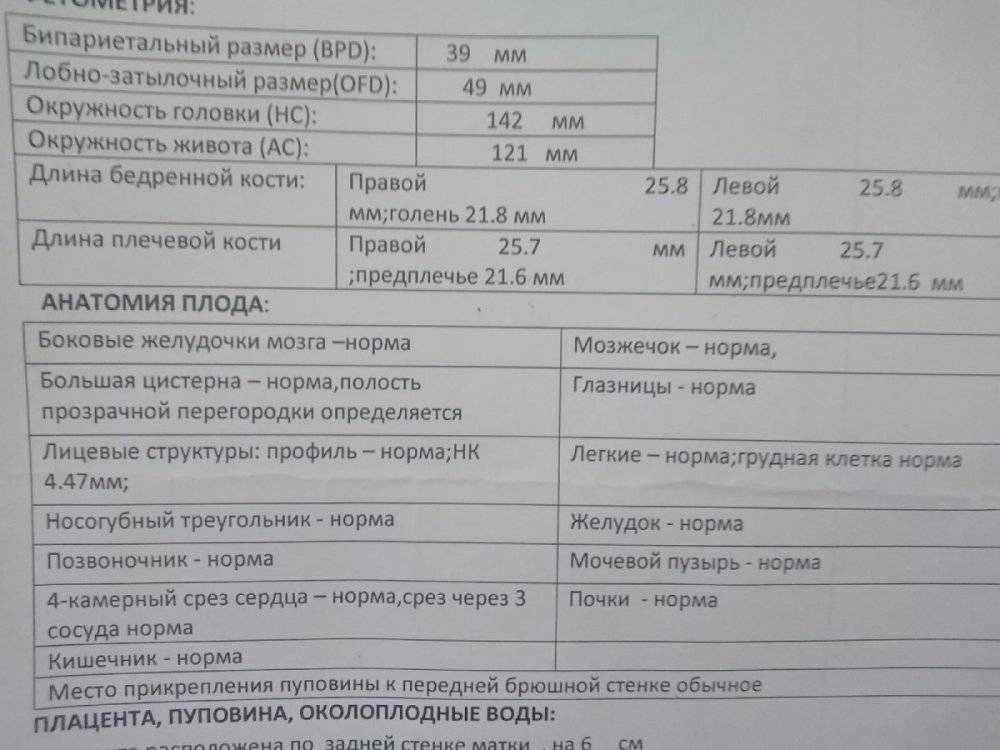 Чем опасна вентрикуломегалия для плода?