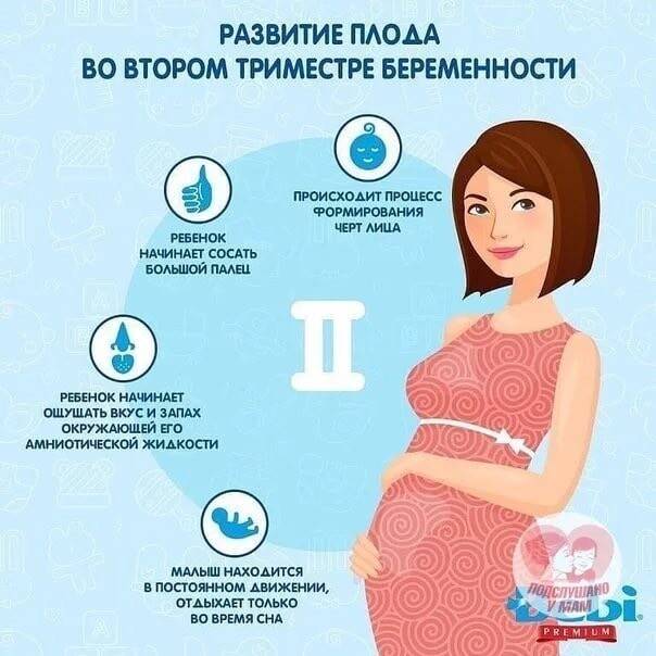 Наращивание и ламинирование ресниц при беременности: снижаем риски и любуемся отражением