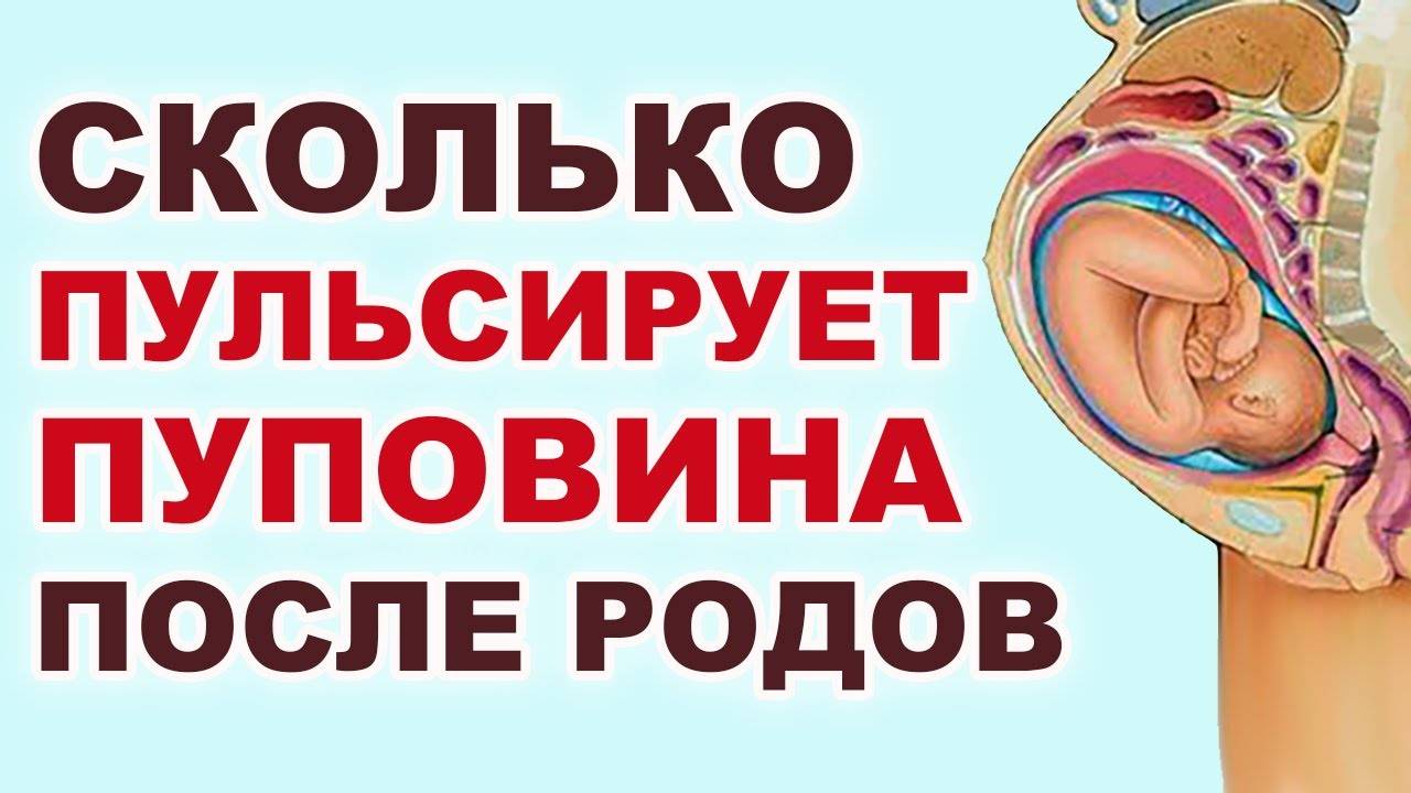 Сколько пульсирует пуповина после родов и почему она должна отпульсировать?
