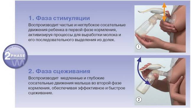 Выбор молокоотсоса. какой лучше выбрать?