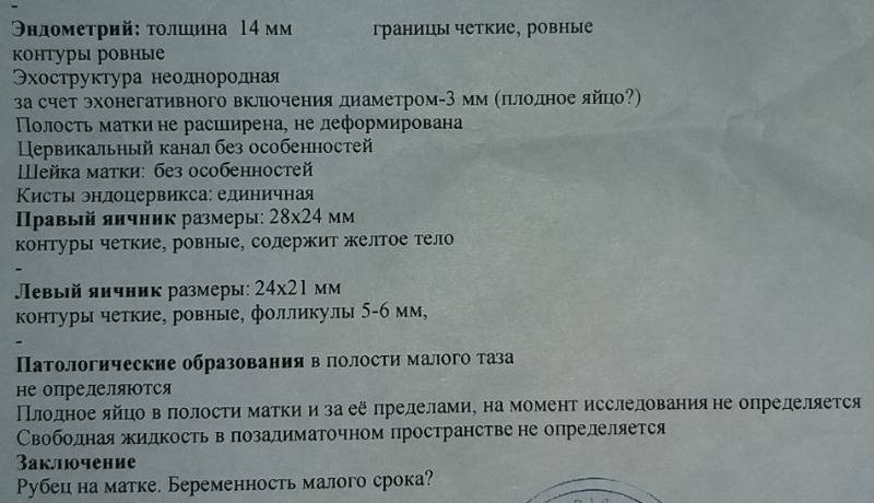 Толщина эндометрия для зачатия: норма и патология для слоя