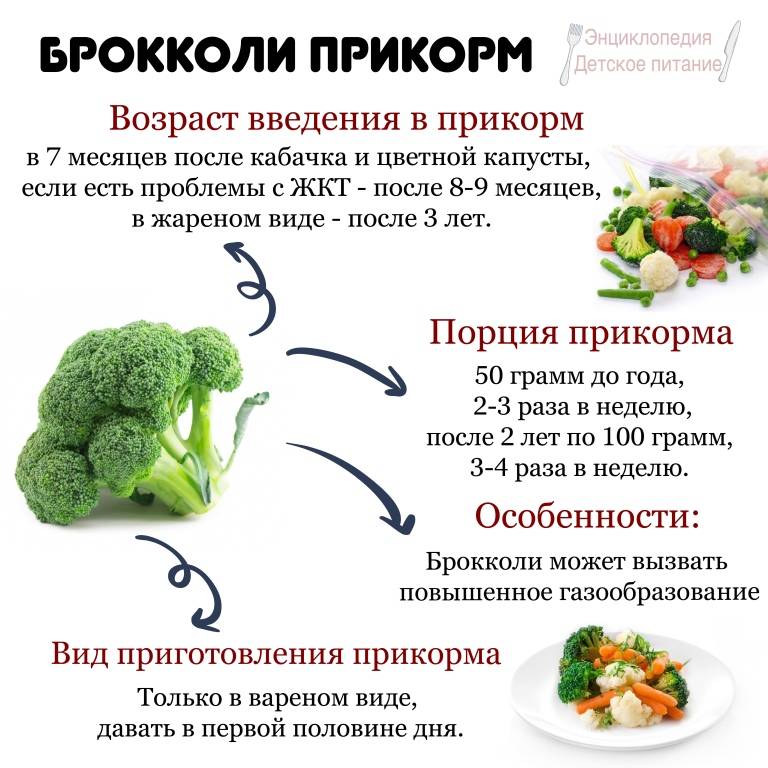 Брокколи в прикорме | уроки для мам
