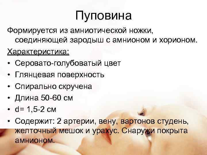 Плацента и пуповина: что важно знать?