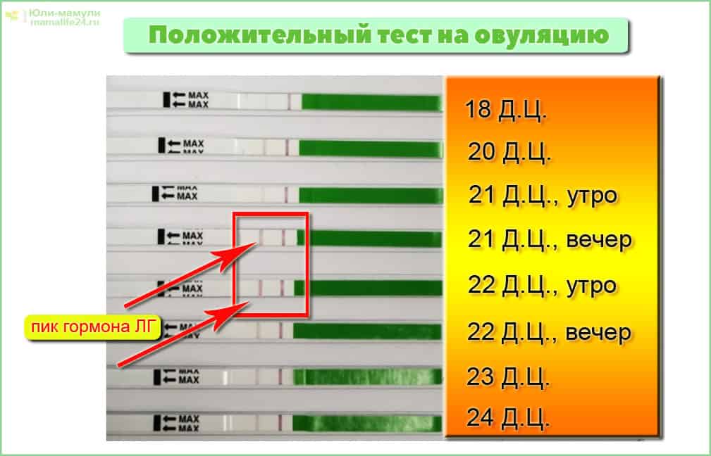 Через сколько после зачатия тест покажет беременность: сроки, советы, отзывы